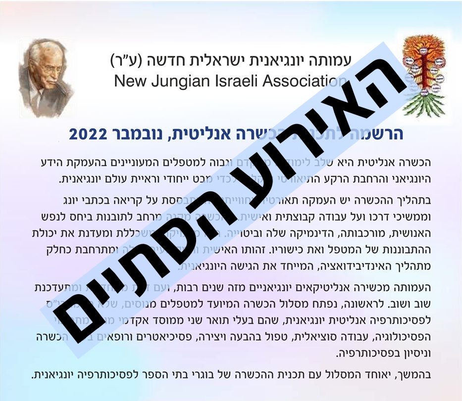 הכשרה אנליטית